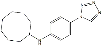 N-[4-(1H-1,2,3,4-tetrazol-1-yl)phenyl]cyclooctanamine 结构式