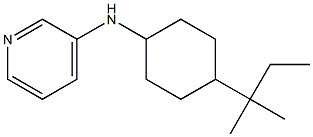 N-[4-(2-methylbutan-2-yl)cyclohexyl]pyridin-3-amine 结构式