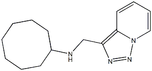 N-{[1,2,4]triazolo[3,4-a]pyridin-3-ylmethyl}cyclooctanamine 结构式