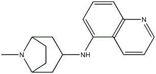 N-{8-methyl-8-azabicyclo[3.2.1]octan-3-yl}quinolin-5-amine 结构式