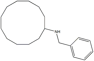 N-benzylcyclododecanamine 结构式
