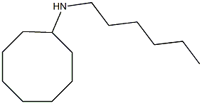 N-hexylcyclooctanamine 结构式