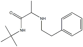 N-tert-butyl-2-[(2-phenylethyl)amino]propanamide 结构式