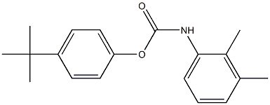 4-tert-butylphenyl 2,3-dimethylphenylcarbamate 结构式