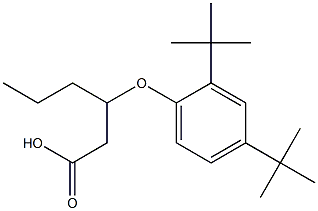 3-(2,4-Di-tert-butylphenoxy)hexanoic acid 结构式