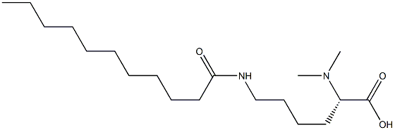 N6-Undecanoyl-N2,N2-dimethyllysine 结构式