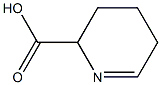 2,3,4,5-Tetrahydropyridine-2-carboxylic acid 结构式