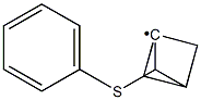 4-Phenylthiobicyclo[1.1.1]pentan-1-ylradical 结构式