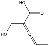 (S)-2-(Hydroxymethyl)-2,3-pentadienoic acid 结构式