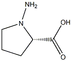 1-Amino-L-proline 结构式