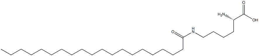 N6-Icosanoyllysine 结构式