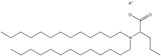 2-(Ditridecylamino)valeric acid potassium salt 结构式