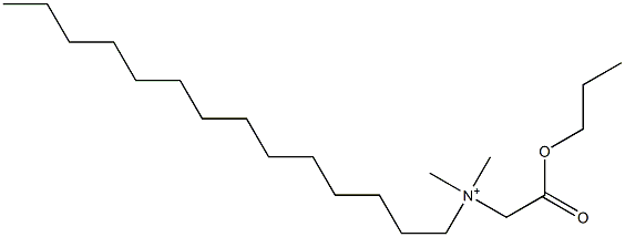 N,N-Dimethyl-N-(propoxycarbonylmethyl)-1-tetradecanaminium 结构式