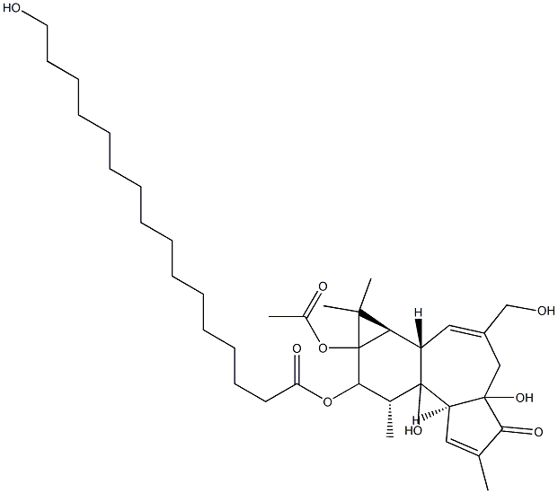 13-Acetoxy-12-(hexadecanoyloxy)-4,9,16,20-tetrahydroxy-1,6-tigliadien-3-one 结构式