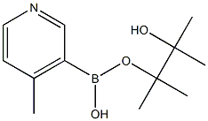 4-甲基吡啶-3-硼酸频那醇酯 结构式