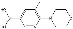 5-甲基-6-(4-吗啉基)吡啶-3-硼酸 结构式