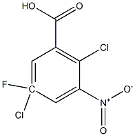 2,5-二氯-5-氟-3-硝基苯甲酸 结构式