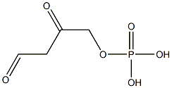 (2,4-dioxo)butyl phosphate 结构式