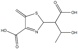 2-(4-carboxy-5-methylene-2H-thiazol-2-yl)-3-hydroxybutanoic acid 结构式