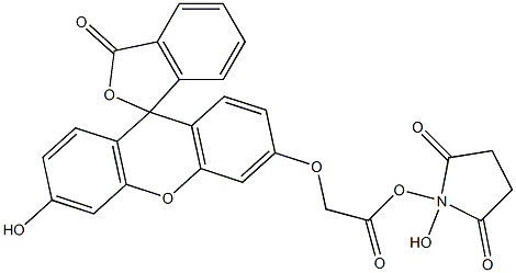 N-hydroxysuccinimidyl fluorescein-O-acetate 结构式