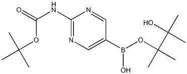 2-(BOC-AMINO)PYRIMIDINE-5-BORONIC ACID PINACOL ESTER 结构式