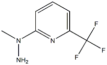 1-[6-(Trifluoromethyl)pyrid-2-yl]-1-methyl hydrazine 结构式