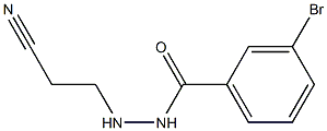 3-bromo-N'-(2-cyanoethyl)benzenecarbohydrazide 结构式
