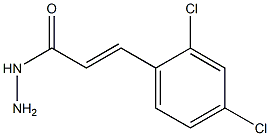 (E)-3-(2,4-dichlorophenyl)-2-propenohydrazide 结构式