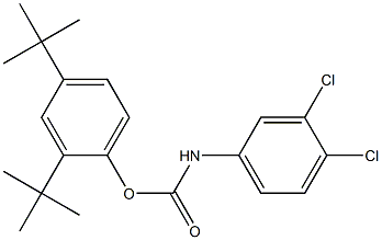 2,4-di(tert-butyl)phenyl N-(3,4-dichlorophenyl)carbamate 结构式