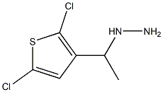 1-(1-(2,5-dichlorothiophen-3-yl)ethyl)hydrazine 结构式