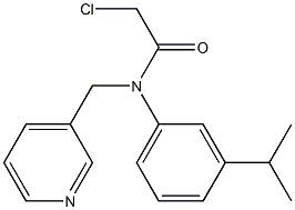 2-chloro-N-(3-isopropylphenyl)-N-((pyridin-3-yl)methyl)acetamide 结构式