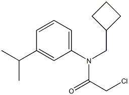 2-choro-N-(cyclobutylmethyl)-N-(3-isopropylphenyl)acetamide 结构式