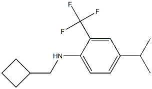 N-(cyclobutylmethyl)-2-(trifluoromethyl)-4-isopropylbenzenamine 结构式