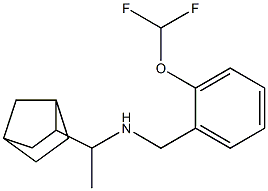 (1-{bicyclo[2.2.1]heptan-2-yl}ethyl)({[2-(difluoromethoxy)phenyl]methyl})amine 结构式