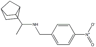 (1-{bicyclo[2.2.1]heptan-2-yl}ethyl)[(4-nitrophenyl)methyl]amine 结构式