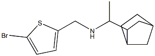 (1-{bicyclo[2.2.1]heptan-2-yl}ethyl)[(5-bromothiophen-2-yl)methyl]amine 结构式