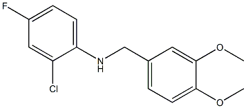 (2-chloro-4-fluorophenyl)(3,4-dimethoxyphenyl)methylamine 结构式