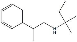 (2-methylbutan-2-yl)(2-phenylpropyl)amine 结构式