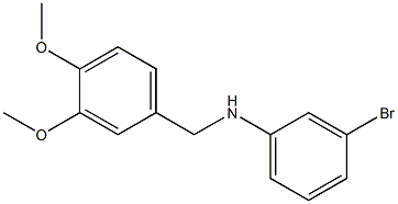 (3-bromophenyl)(3,4-dimethoxyphenyl)methylamine 结构式