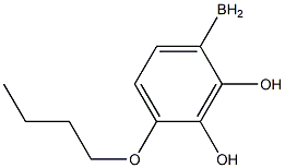 (4-butoxyphenyl)boranediol 结构式