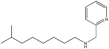 (7-methyloctyl)(pyridin-2-ylmethyl)amine 结构式