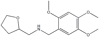 (oxolan-2-ylmethyl)[(2,4,5-trimethoxyphenyl)methyl]amine 结构式