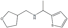 (oxolan-3-ylmethyl)[1-(thiophen-2-yl)ethyl]amine 结构式