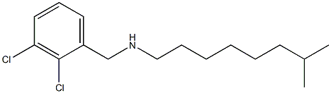 [(2,3-dichlorophenyl)methyl](7-methyloctyl)amine 结构式