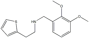 [(2,3-dimethoxyphenyl)methyl][2-(thiophen-2-yl)ethyl]amine 结构式