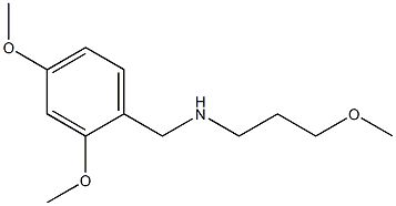 [(2,4-dimethoxyphenyl)methyl](3-methoxypropyl)amine 结构式