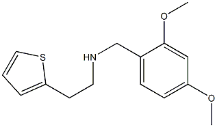 [(2,4-dimethoxyphenyl)methyl][2-(thiophen-2-yl)ethyl]amine 结构式