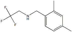 [(2,4-dimethylphenyl)methyl](2,2,2-trifluoroethyl)amine 结构式