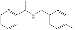 [(2,4-dimethylphenyl)methyl][1-(pyridin-2-yl)ethyl]amine 结构式