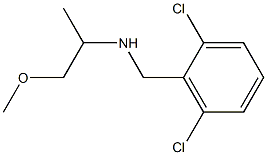 [(2,6-dichlorophenyl)methyl](1-methoxypropan-2-yl)amine 结构式